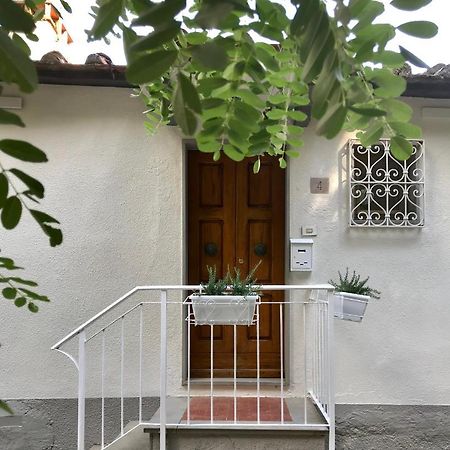Rustico Rosmarino Βίλα Καστιλλιόν Φιορεντίνο Εξωτερικό φωτογραφία